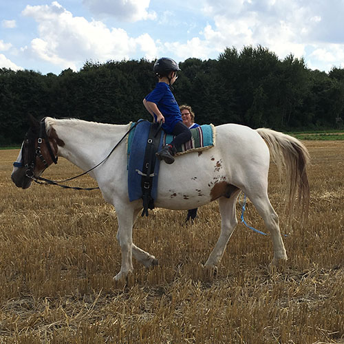 Josh Pferd Kinderheim Haus Regenbogen