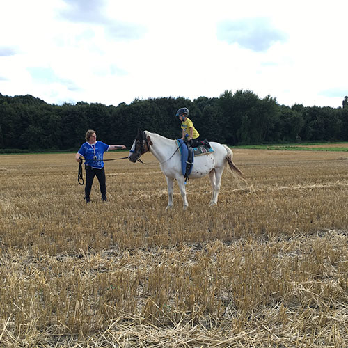 Josh Pferd Kinderheim Haus Regenbogen