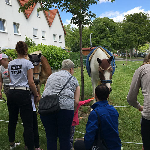 Josh Pferd Kinderheim Haus Regenbogen