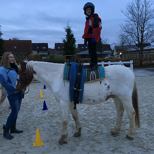 Josh Pferd Kinderheim Haus Regenbogen