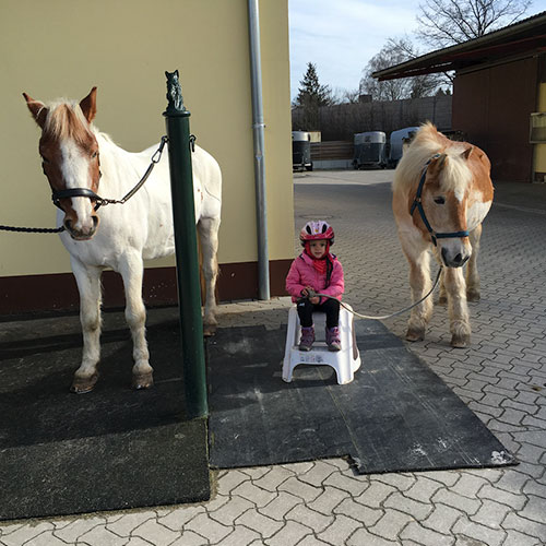 Josh Pferd Kinderheim Haus Regenbogen