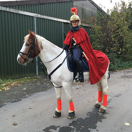 Josh Pferd Kinderheim Haus Regenbogen