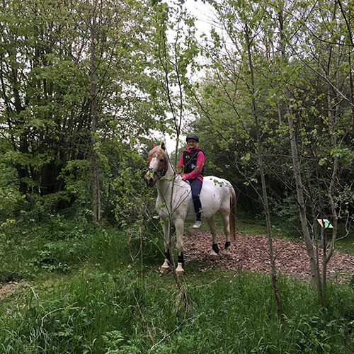 Josh Pferd Kinderheim Haus Regenbogen